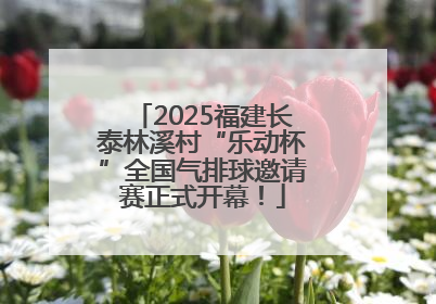 2025福建长泰林溪村“乐动杯”全国气排球邀请赛正式开幕！