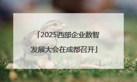 2025西部企业数智发展大会在成都召开
