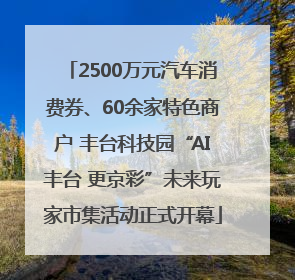 2500万元汽车消费券、60余家特色商户 丰台科技园“AI丰台 更京彩”未来玩家市集活动正式开幕