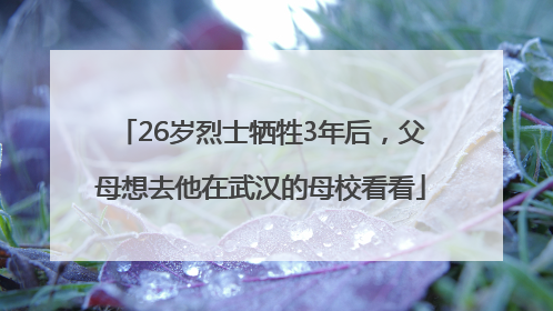 26岁烈士牺牲3年后，父母想去他在武汉的母校看看