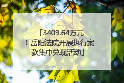 3409.64万元！岳阳法院开展执行案款集中兑现活动