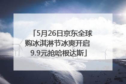 5月26日京东全球购冰淇淋节冰爽开启 9.9元抢哈根达斯