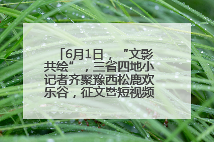 6月1日，“文影共绘”，三省四地小记者齐聚豫西松鹿欢乐谷，征文暨短视频大赛精彩启幕！