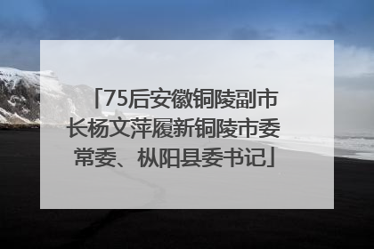 75后安徽铜陵副市长杨文萍履新铜陵市委常委、枞阳县委书记