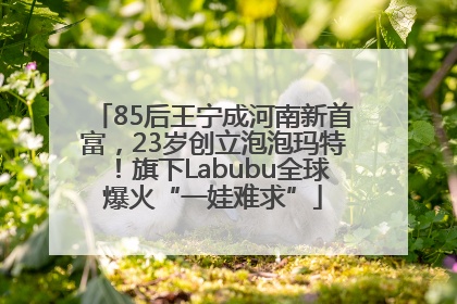 85后王宁成河南新首富，23岁创立泡泡玛特！旗下Labubu全球爆火“一娃难求”