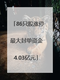 86只股涨停 最大封单资金4.03亿元