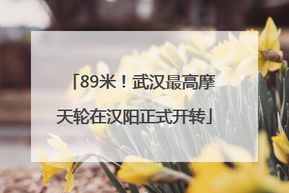 89米！武汉最高摩天轮在汉阳正式开转
