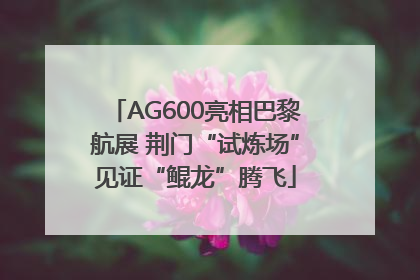 AG600亮相巴黎航展 荆门“试炼场”见证“鲲龙”腾飞