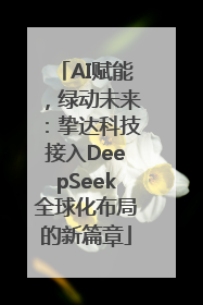 AI赋能，绿动未来：挚达科技接入DeepSeek全球化布局的新篇章