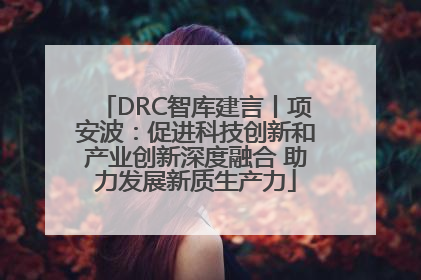 DRC智库建言丨项安波：促进科技创新和产业创新深度融合 助力发展新质生产力