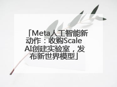 Meta人工智能新动作：收购Scale AI创建实验室，发布新世界模型